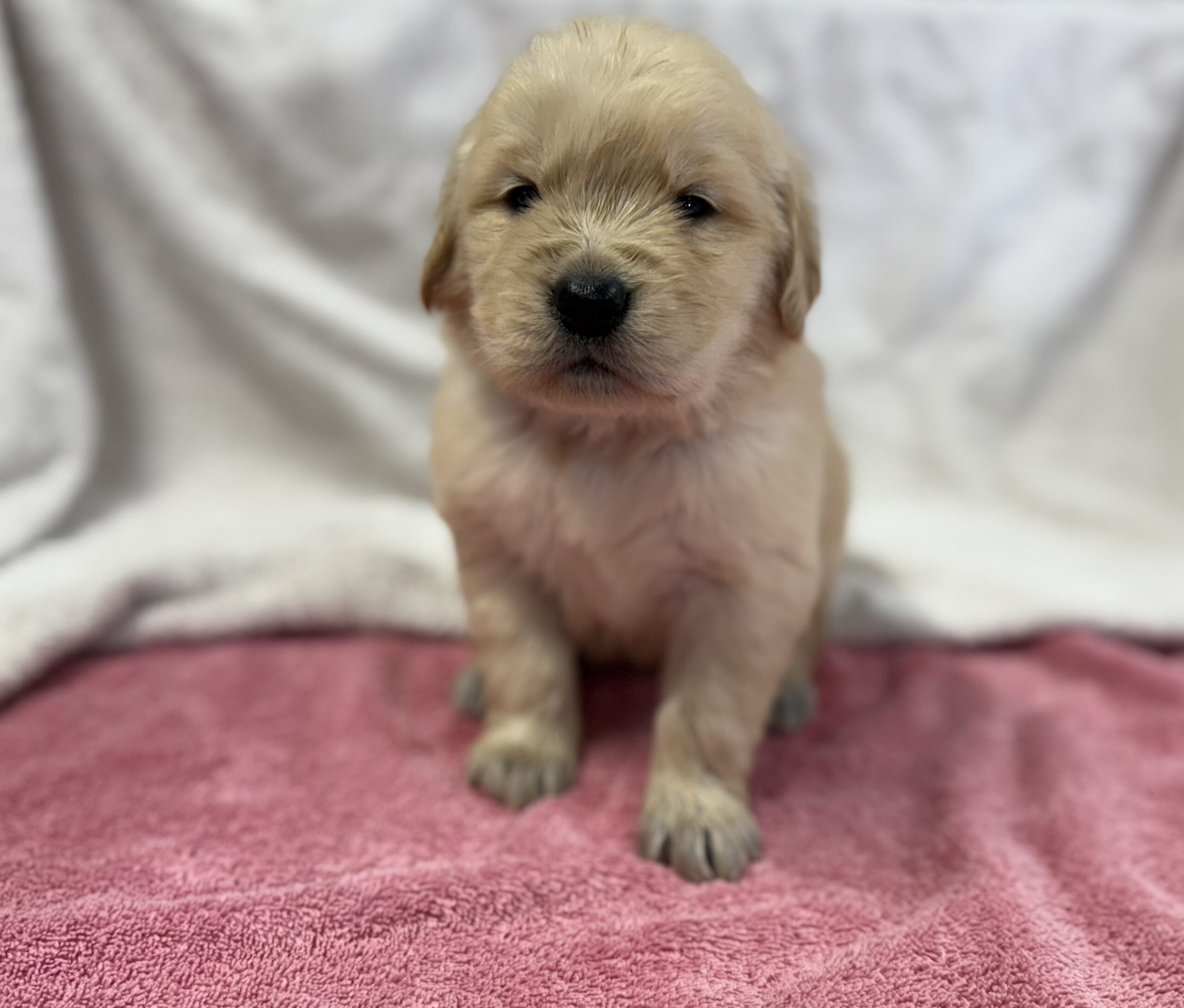 Female #2.3 Female #2.3
