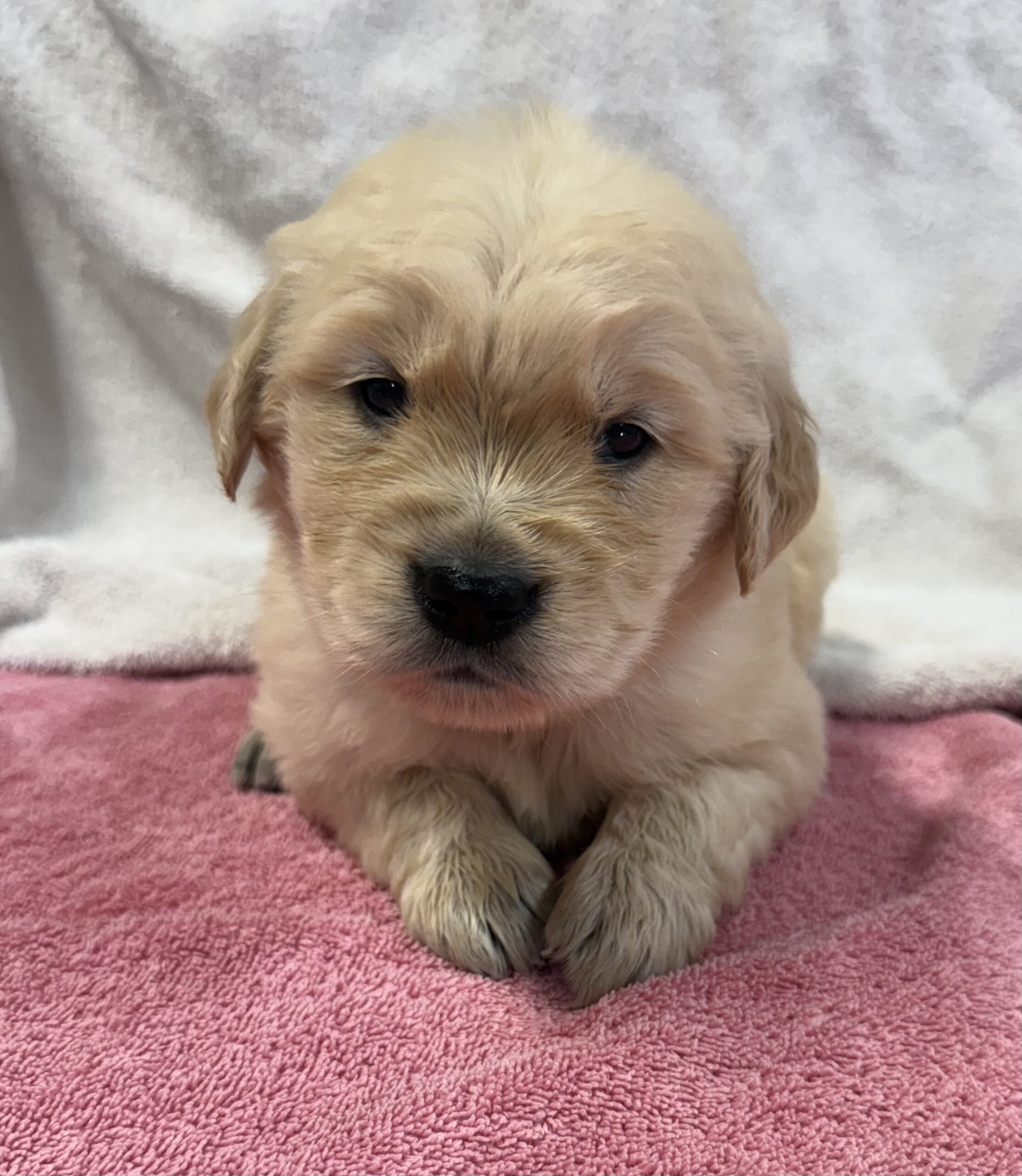 Male #2.3 Male #2.3