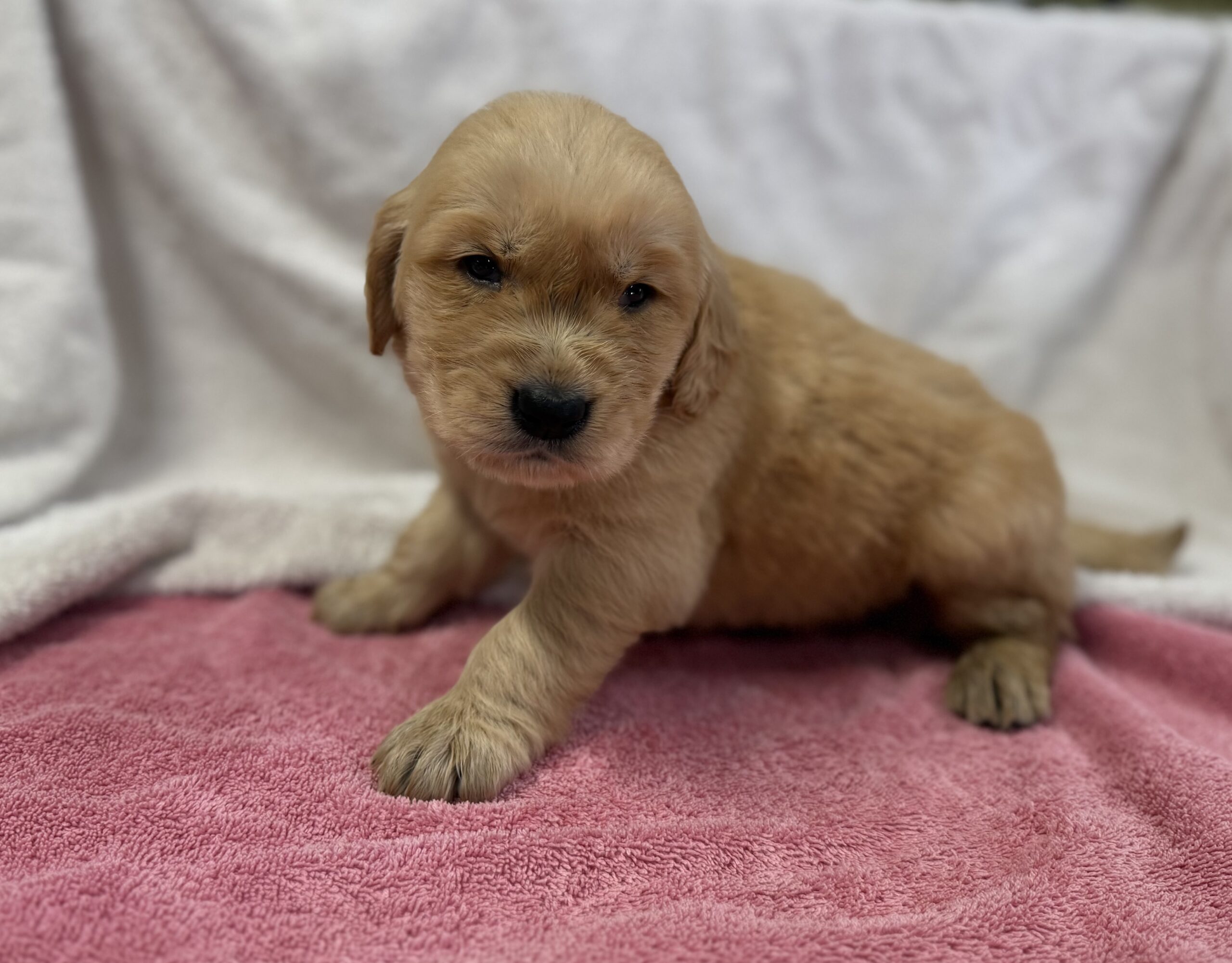 Male #3.2 Male #3.2