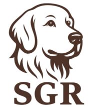 Sevier Golden Retrievers