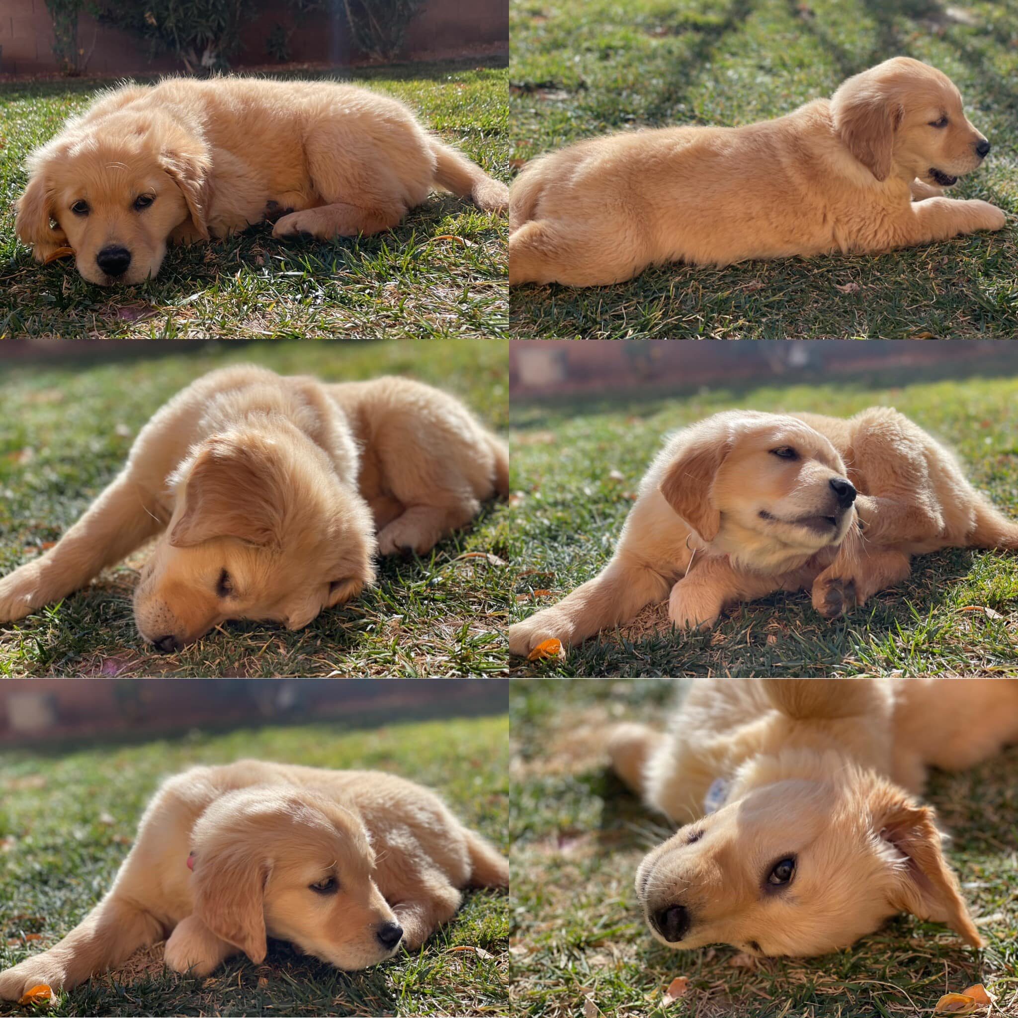 142864288_10166350095055347_5680482284251975059_o